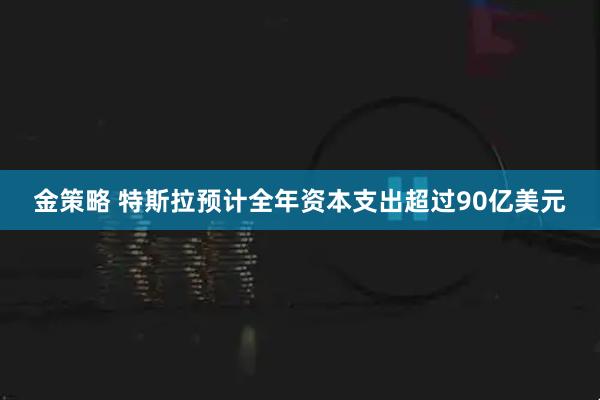 金策略 特斯拉预计全年资本支出超过90亿美元