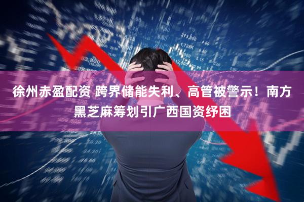 徐州赤盈配资 跨界储能失利、高管被警示！南方黑芝麻筹划引广西国资纾困